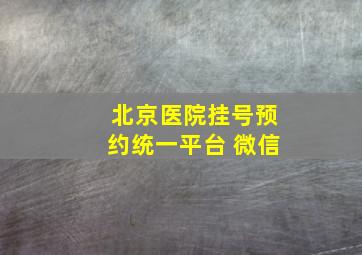 北京医院挂号预约统一平台 微信